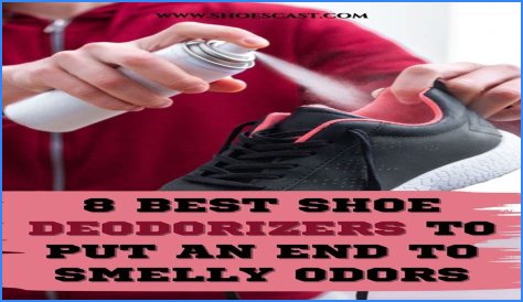 The 6 best shoe deodorizers, according to experts in 2024